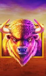 Buffalo King