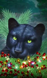 Blue Panther -CE